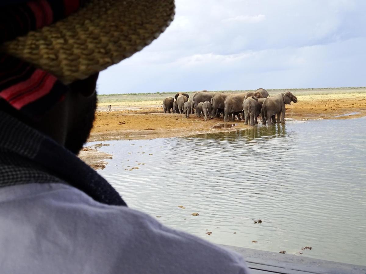 OmuthiyaEtosha King Nehale别墅 外观 照片